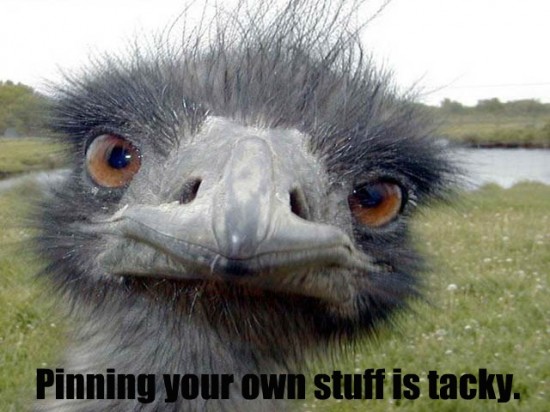 Etiquette Ostrich